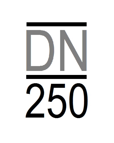 DN250
